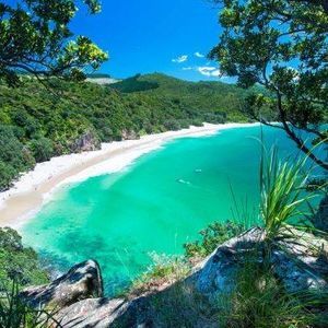 Meet your Posher, Shauna